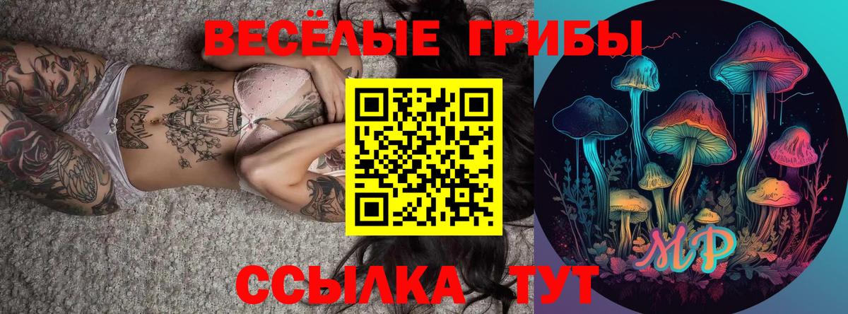 как найти   Псилоцибиновые грибы GOLDEN TEACHER  Вход с VPN  Советск 