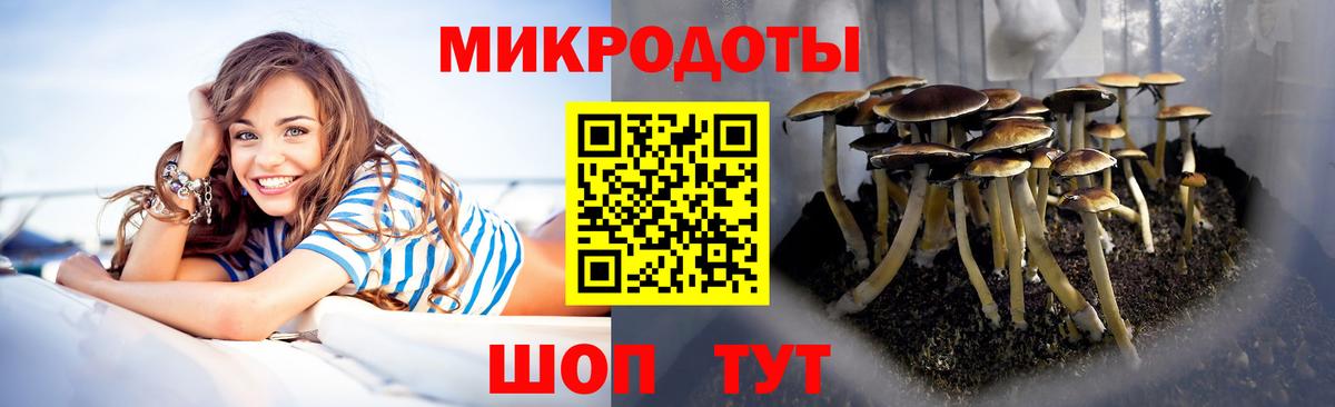 Галлюциногенные грибы прущие грибы Советск